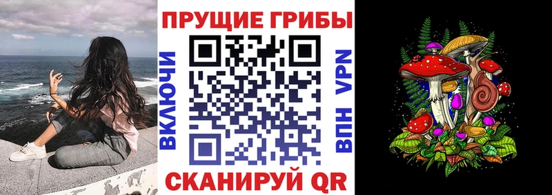 Галлюциногенные грибы Psilocybe  Добрянка 