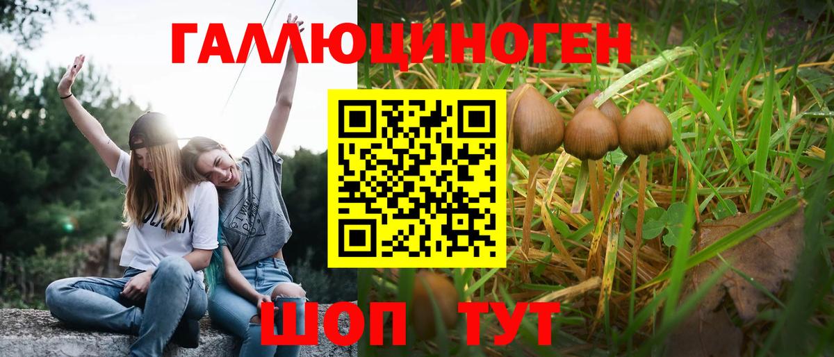 Добрянка  Галлюциногенные грибы GOLDEN TEACHER  Вход с VPN 